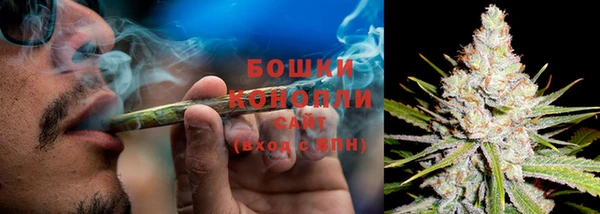 крисы Карталы